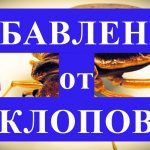 Эффективные методы избавления от клопов в квартире